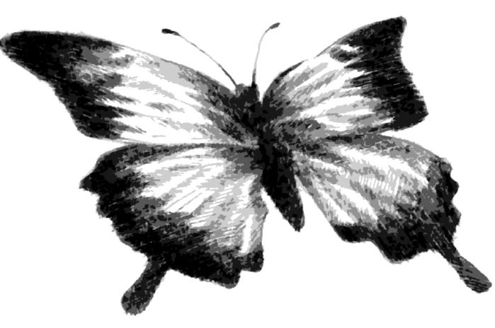 Иллюстрация к книге — Другая, следующая жизнь [i000002780000.jpg]