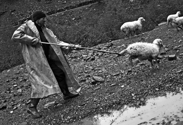 Иллюстрация к книге — Крайности Грузии. В поисках сокровищ Страны волков [i_027.jpg]