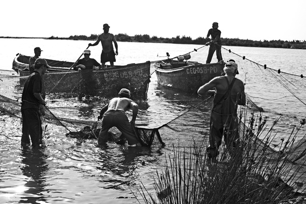 Иллюстрация к книге — Крайности Грузии. В поисках сокровищ Страны волков [i_044.jpg]