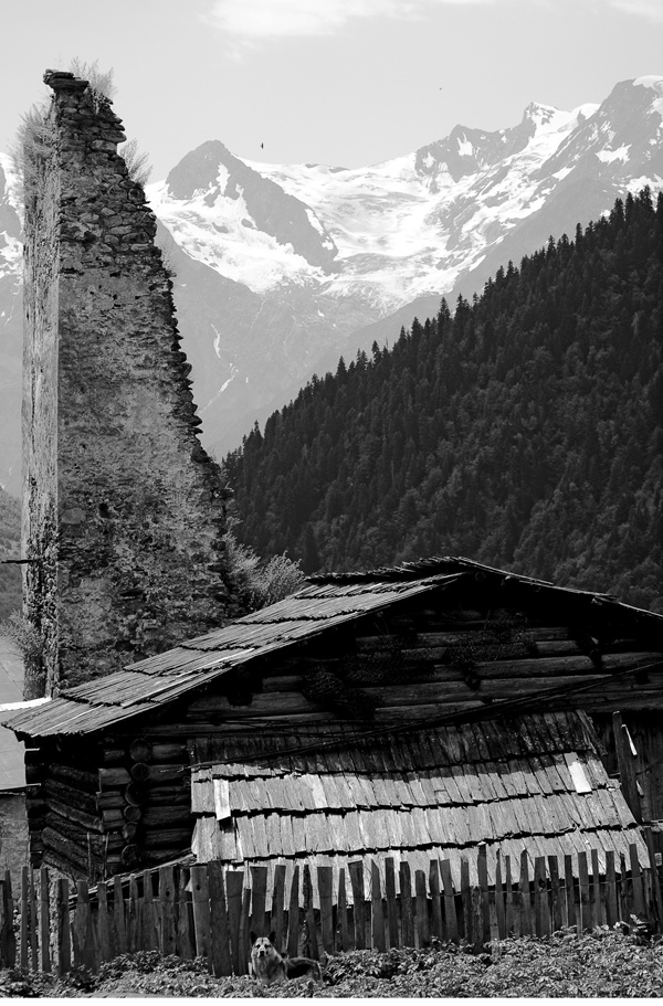 Иллюстрация к книге — Крайности Грузии. В поисках сокровищ Страны волков [i_071.jpg]