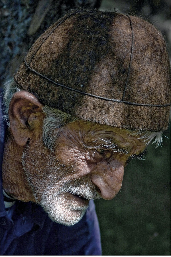 Иллюстрация к книге — Крайности Грузии. В поисках сокровищ Страны волков [i_078.jpg]