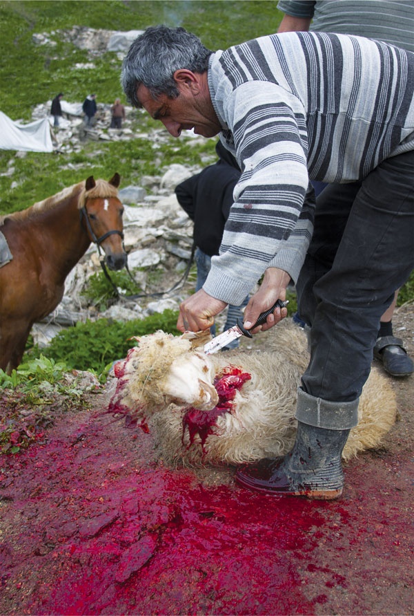 Иллюстрация к книге — Крайности Грузии. В поисках сокровищ Страны волков [i_083.jpg]