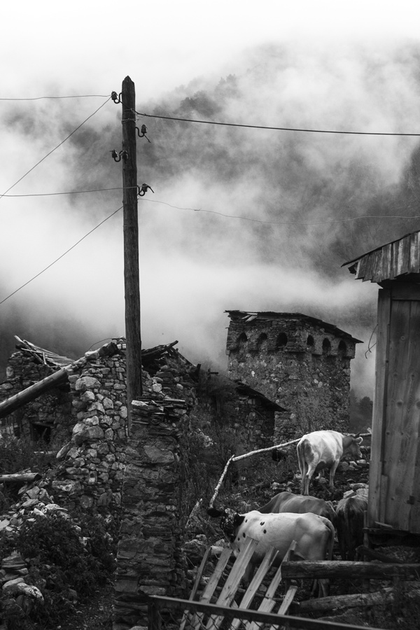 Иллюстрация к книге — Крайности Грузии. В поисках сокровищ Страны волков [i_094.jpg]