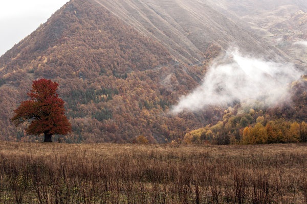 Иллюстрация к книге — Крайности Грузии. В поисках сокровищ Страны волков [i_097.jpg]