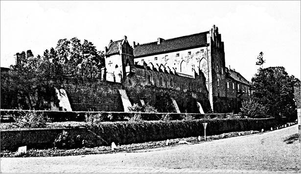 Иллюстрация к книге — Грюнвальд. Разгром Тевтонского ордена [_010_fmt.jpg]