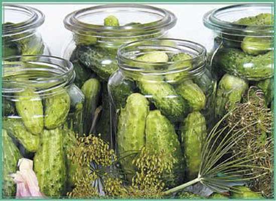 Иллюстрация к книге — Консервируем салаты, лечо, икру, соте, аджику [i_021.jpg]