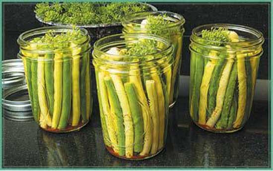 Иллюстрация к книге — Консервируем салаты, лечо, икру, соте, аджику [i_037.jpg]