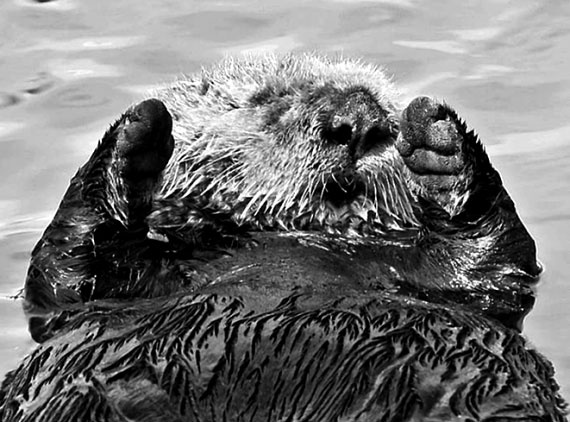 Иллюстрация к книге — 100 великих сокровищ России [i_099.jpg]