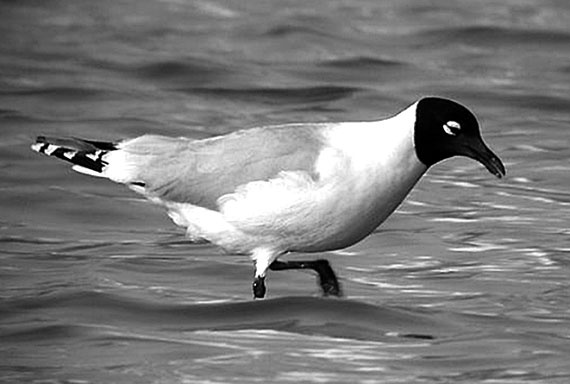 Иллюстрация к книге — 100 великих сокровищ России [i_100.jpg]