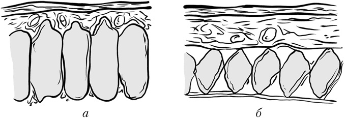 Иллюстрация к книге — Новая фигура через 2 недели [i_068.jpg]