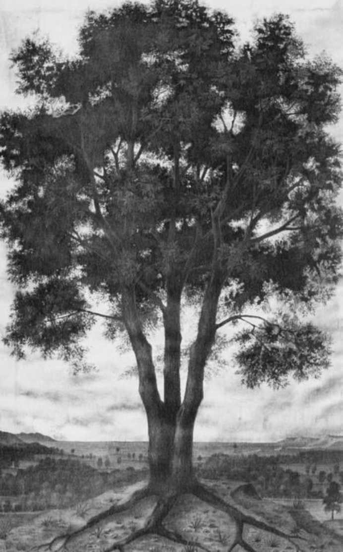 Иллюстрация к книге — Тайны черных замков СС [i_083.jpg]