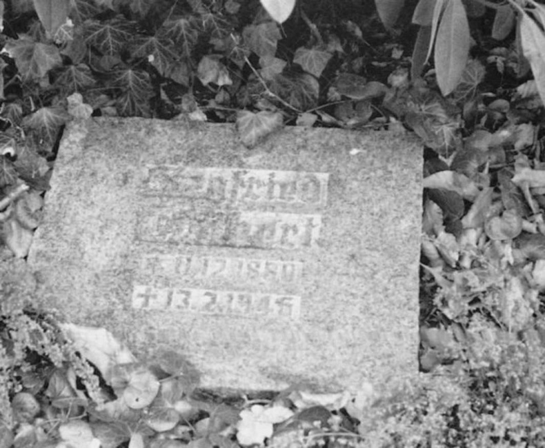 Иллюстрация к книге — Тайны черных замков СС [i_106.jpg]