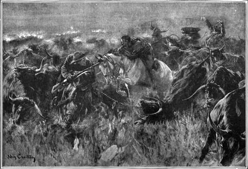 Иллюстрация к книге — Война буров с Англией [i_017.jpg]