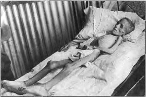 Иллюстрация к книге — Война буров с Англией [i_022.jpg]