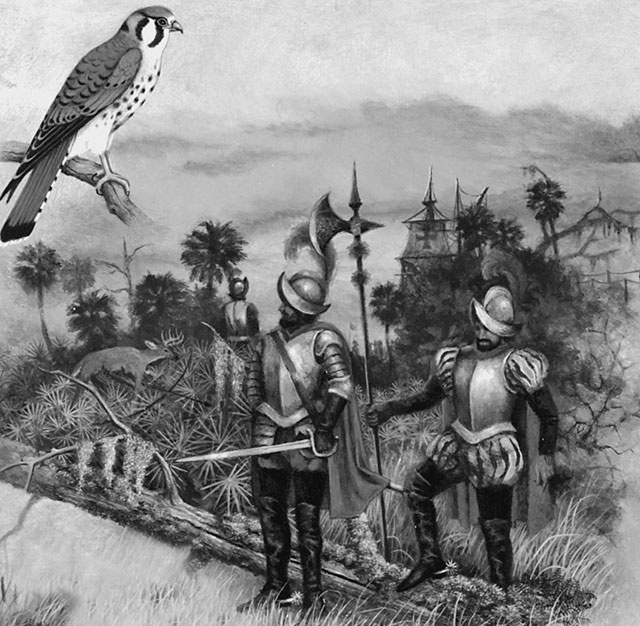 Иллюстрация к книге — 500 великих путешествий [i_118.jpg]