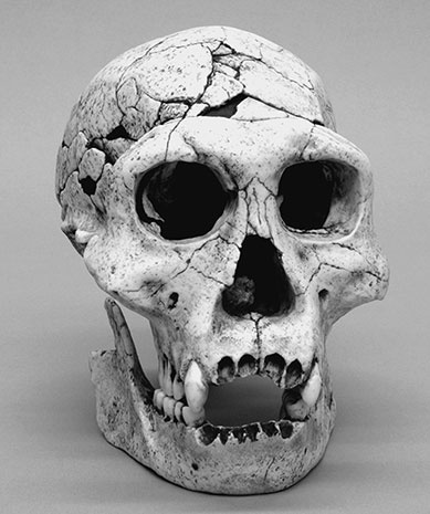 Иллюстрация к книге — 500 великих путешествий [i_274.jpg]