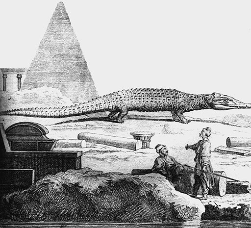 Иллюстрация к книге — 500 великих путешествий [i_291.jpg]