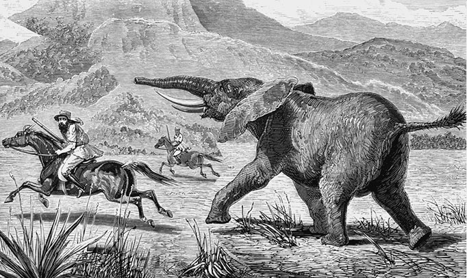 Иллюстрация к книге — 500 великих путешествий [i_316.jpg]