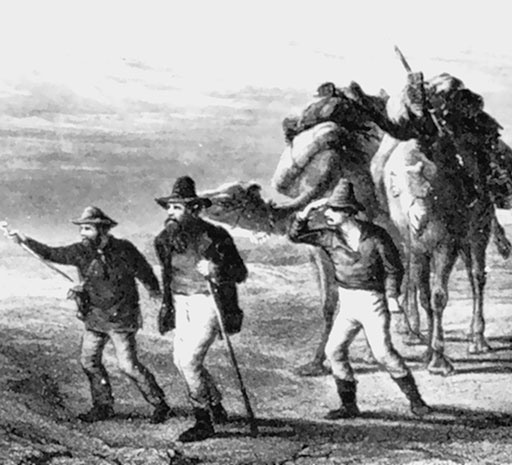 Иллюстрация к книге — 500 великих путешествий [i_355.jpg]