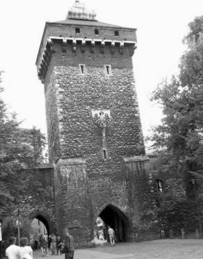 Иллюстрация к книге — Старый Краков [pic_49.jpg]