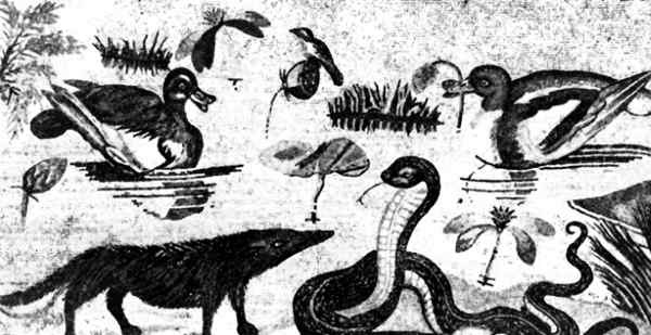 Иллюстрация к книге — Помпеи и Геркуланум [_101.jpg]