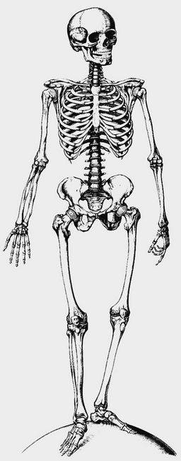 Иллюстрация к книге — 100 великих тайн человека [i_014.jpg]