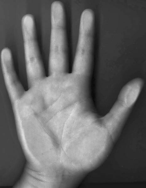 Иллюстрация к книге — 100 великих тайн человека [i_015.jpg]