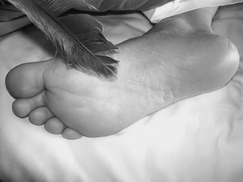 Иллюстрация к книге — 100 великих тайн человека [i_027.jpg]