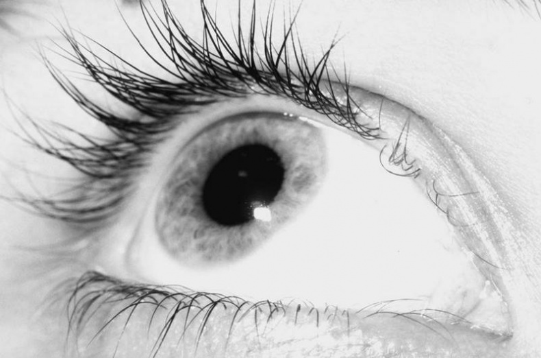 Иллюстрация к книге — 100 великих тайн человека [i_039.jpg]