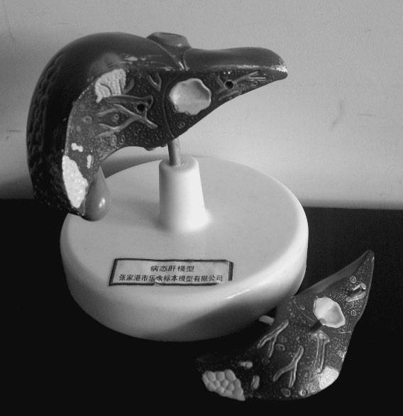 Иллюстрация к книге — 100 великих тайн человека [i_056.jpg]