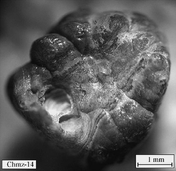 Иллюстрация к книге — 100 великих тайн человека [i_058.jpg]