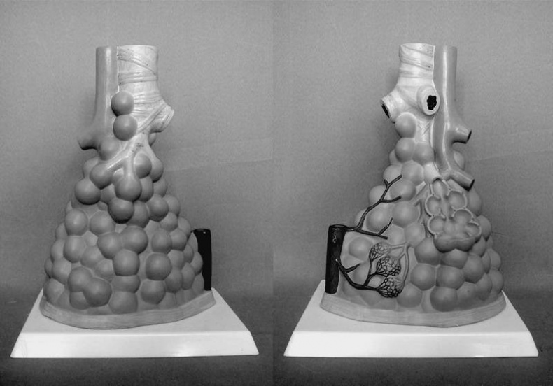 Иллюстрация к книге — 100 великих тайн человека [i_062.jpg]