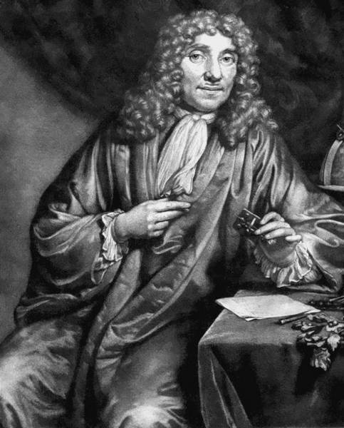 Иллюстрация к книге — 100 великих тайн человека [i_069.jpg]