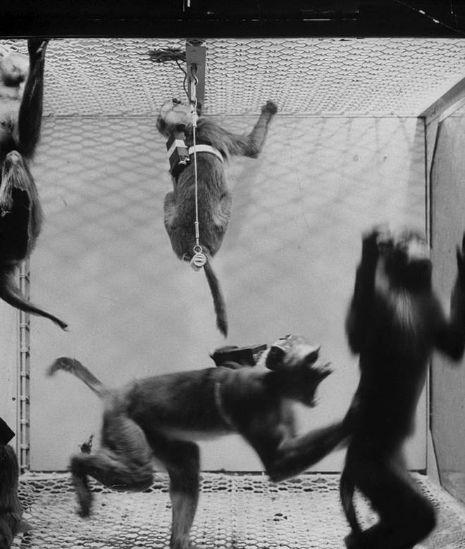 Иллюстрация к книге — 100 великих тайн сознания [i_009.jpg]