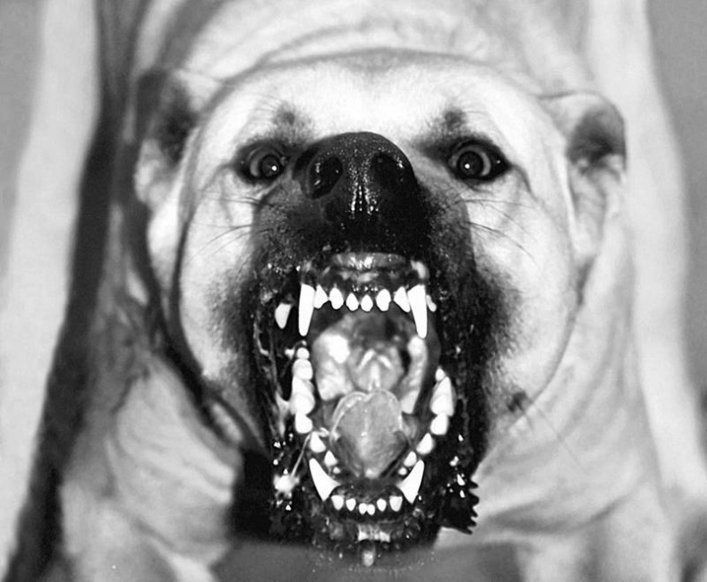 Иллюстрация к книге — 100 великих тайн сознания [i_014.jpg]