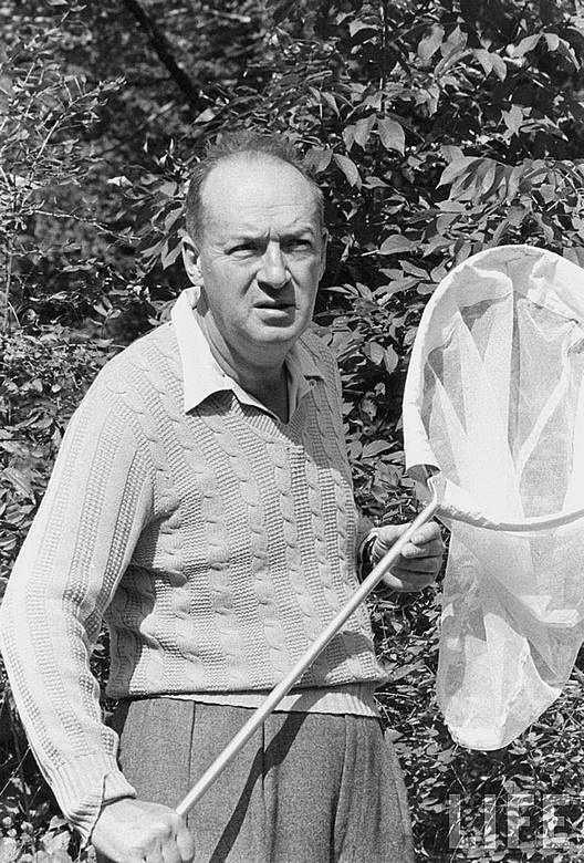 Иллюстрация к книге — 100 великих тайн сознания [i_046.jpg]