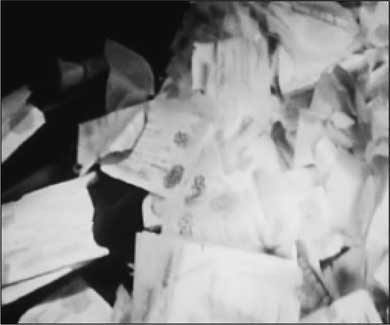 Иллюстрация к книге — Сокровища Третьего рейха [i_014.jpg]