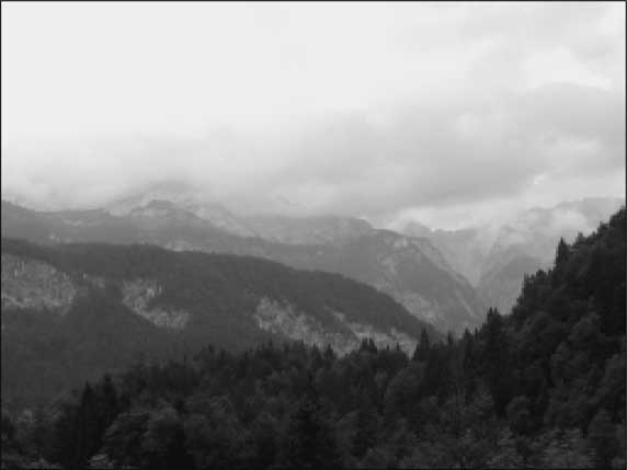 Иллюстрация к книге — Сокровища Третьего рейха [i_019.jpg]