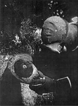 Иллюстрация к книге — Сокровища Третьего рейха [i_053.jpg]