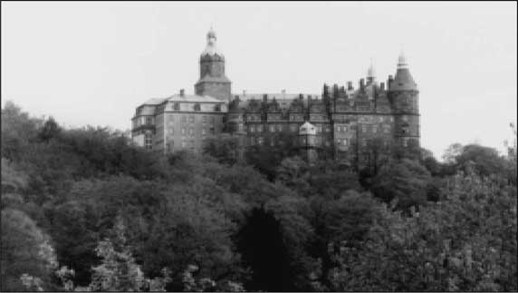 Иллюстрация к книге — Сокровища Третьего рейха [i_057.jpg]