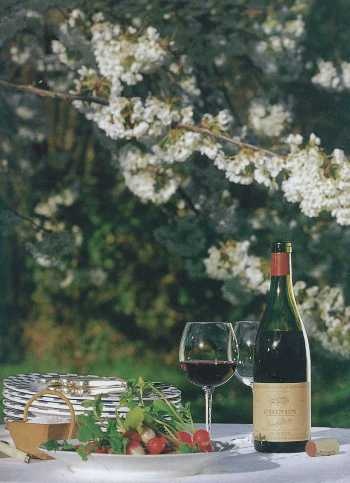 Иллюстрация к книге — Совершенное сочетание вина и еды [i_027.jpg]