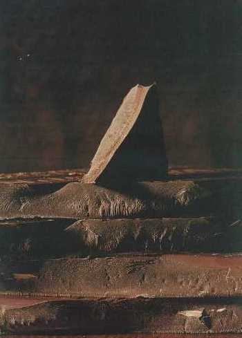 Иллюстрация к книге — Совершенное сочетание вина и еды [i_087.jpg]