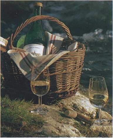 Иллюстрация к книге — Совершенное сочетание вина и еды [i_090.jpg]