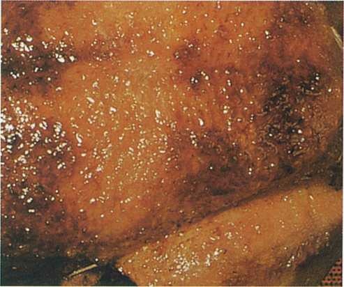 Иллюстрация к книге — Совершенное сочетание вина и еды [i_109.jpg]