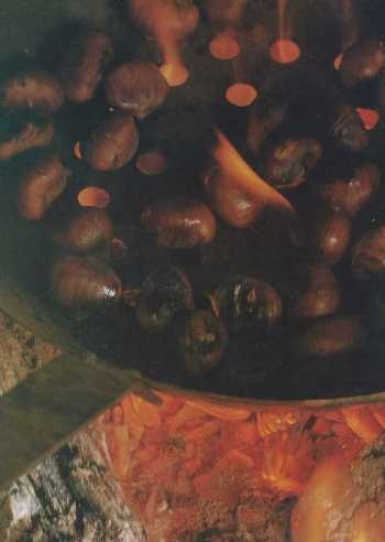 Иллюстрация к книге — Совершенное сочетание вина и еды [i_114.jpg]