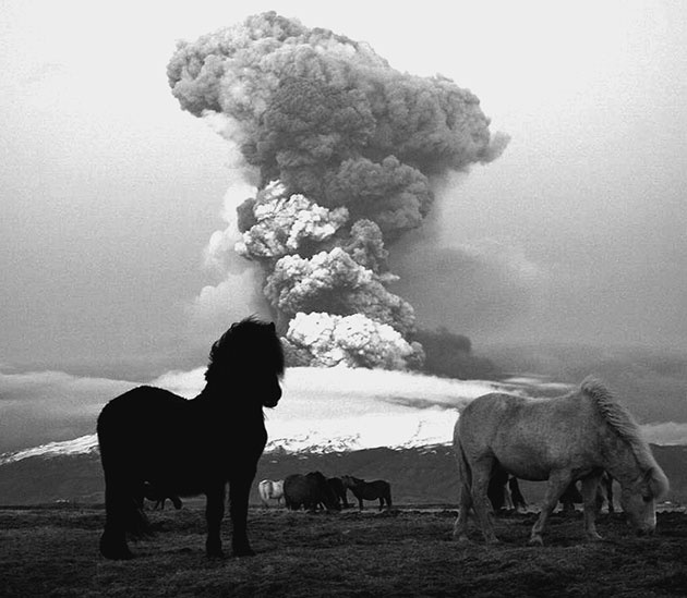 Иллюстрация к книге — 500 великих катастроф [i_103.jpg]