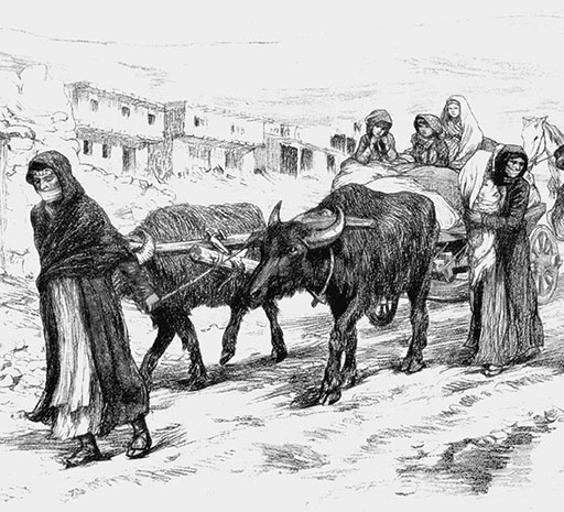 Иллюстрация к книге — 500 великих катастроф [i_229.jpg]