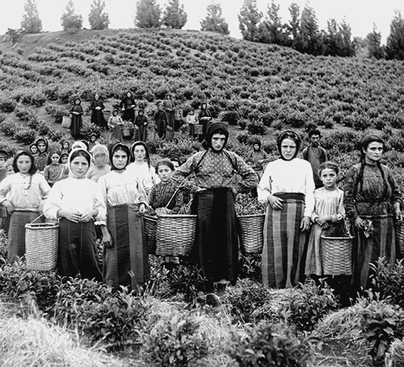 Иллюстрация к книге — 500 великих катастроф [i_231.jpg]