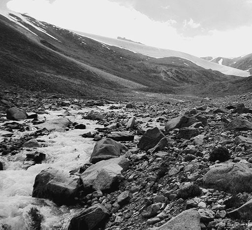 Иллюстрация к книге — 500 великих катастроф [i_239.jpg]