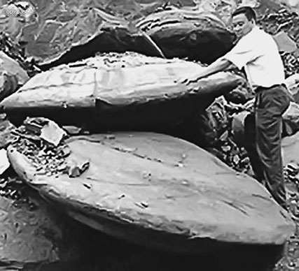 Иллюстрация к книге — 500 великих катастроф [i_354.jpg]